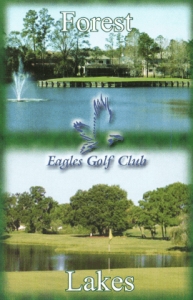 Primary image for the Golf for Four at The Eagles Auction Item