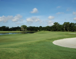 Secondary image for the Golf for Four at The Eagles Auction Item