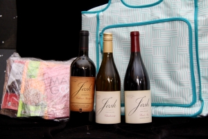 Primary image for the 31 Picnic to Go! Auction Item