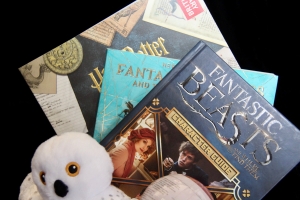 Secondary image for the Calling Harry Potter Fans! Auction Item