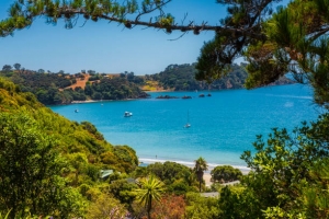 Primary image for the Onetangi Beachfront Apartments Auction Item