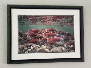 Secondary image for the BEAUTIFUL SALMON PRINT Auction Item