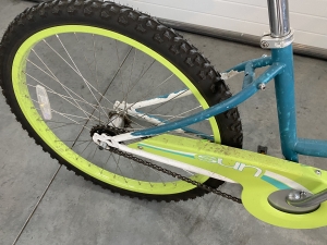 Secondary image for the CUTE GIRLS BIKE Auction Item