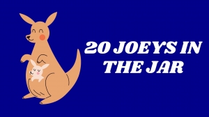 Primary image for the 20 Joeys in the Jar Auction Item