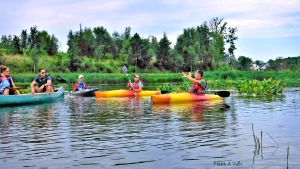 Primary image for the Onondaga Lake Paddling Excursion Auction Item
