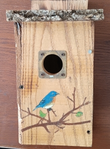 Secondary image for the Silver Earrings and Eastern Bluebird Nest Box Auction Item