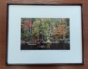 Primary image for the Solitude Auction Item