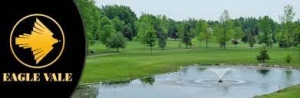 Primary image for the Golf for 4 With Carts at Eagle Vale Golf Club Auction Item
