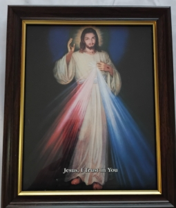 Primary image for the Framed Divine Mercy Picture Auction Item