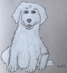 Primary image for the Good Dog! Auction Item