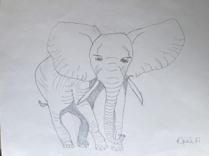 Primary image for the Elephant Drawing Near Auction Item