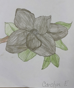 Primary image for the Mississippi Magnolia Auction Item