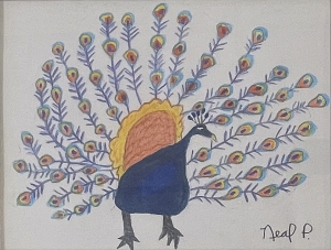 Primary image for the Proud Peacock Auction Item