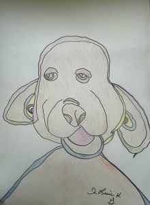 Primary image for the Mellow Dog Auction Item