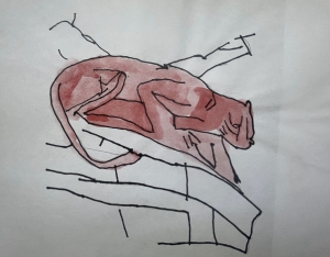 Primary image for the Red Cat Hunting Auction Item