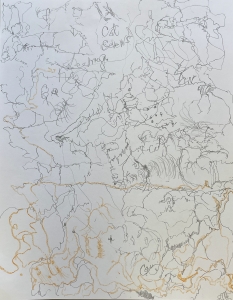 Primary image for the I Contain Multitudes Auction Item