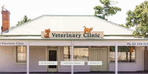 Primary image for the Aberdeen Vet Clinic - Annual Pet Vaccination  Auction Item