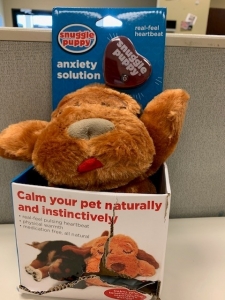 Primary image for the Snuggle Puppy - damaged pkg Auction Item