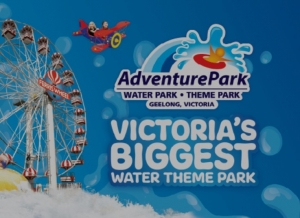 Primary image for the 2x Single Day Passes - Adventure Park  Auction Item