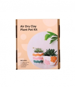 Secondary image for the Air Dry Clay Plant Pot Kit & Gift Card Auction Item