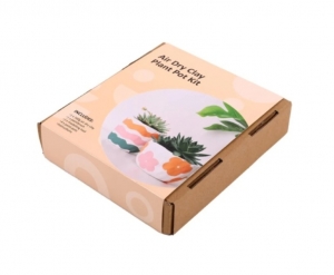Secondary image for the Air Dry Clay Plant Pot Kit & Gift Card Auction Item