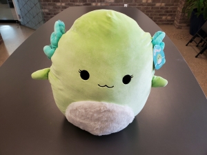 Secondary image for the Mipsy Squishmallow & WDM Membership Auction Item