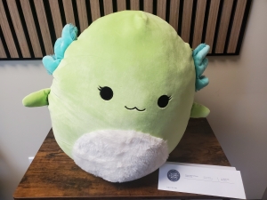 Primary image for the Mipsy Squishmallow & WDM Membership Auction Item