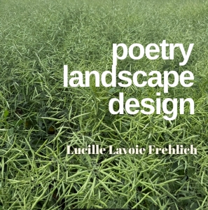 Primary image for the Landscape Design Service Auction Item
