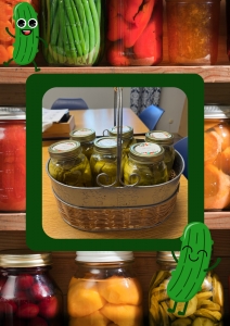 Primary image for the Deb Hamm's Famous Canned Dill Pickles Auction Item
