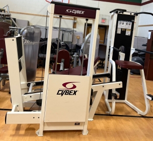 Primary image for the Cybex Assisted Chin/Dip Auction Item