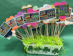 Primary image for the 2nd Grade: Mrs. Thomson's Lottery Garden #1 Auction Item