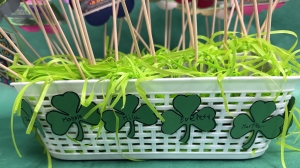 Secondary image for the 2nd Grade: Mrs. Thomson's Lottery Garden #1 Auction Item