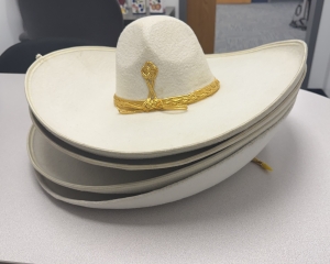 Primary image for the Mexican Hats Auction Item