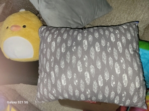 Primary image for the Handmade Custom Pillow made by Lucy Auction Item