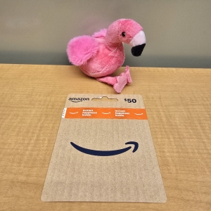 Primary image for the $50.00 Amazon Gift Card Auction Item