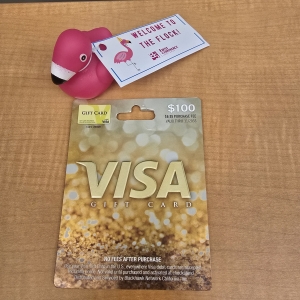 Primary image for the $100.00 Visa Gift Card Auction Item