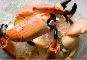 Primary image for the 10 Pounds of Fresh Florida Gulf Stone Crab Claws Auction Item