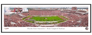 Primary image for the Florida State Seminoles Football – Framed Panoramic Print by Blakeway Panoramas Auction Item