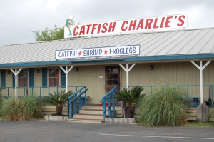 Secondary image for the Treat Yourself  Tour Auction Item