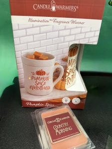 Secondary image for the Pumpkin Wax Warmer Auction Item