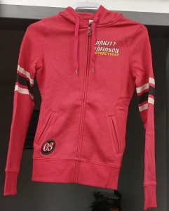 Primary image for the Harley Davidson Hoodie Auction Item