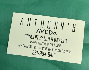 Primary image for the Anthony's Aveda  Auction Item