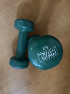 Primary image for the Power System Weight Kit 5 Pounds Auction Item