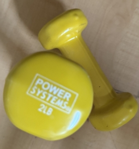 Primary image for the Power System Weight Kit 2 Pounds Auction Item