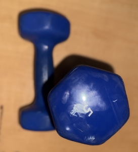 Primary image for the Weight Kit 5 Pounds Auction Item