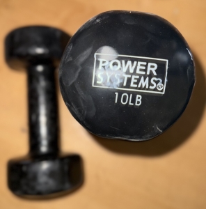 Primary image for the Power System Weight Kit  10 Pounds Auction Item