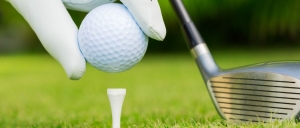 Primary image for the Tee Time at Traverse City Country Club Auction Item