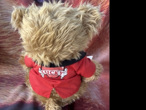 Primary image for the Lucky The Musical  Cat Auction Item