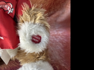 Secondary image for the Lucky The Musical  Cat Auction Item