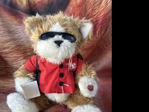 Secondary image for the Lucky The Musical  Cat Auction Item